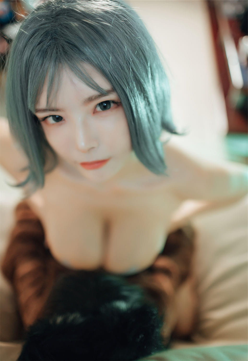 秋和柯基娃娃40p1v