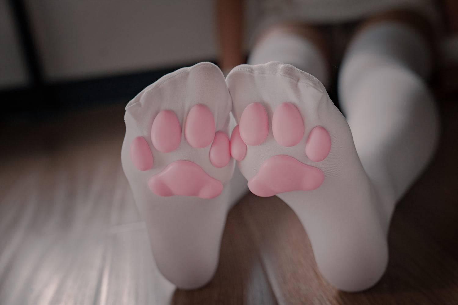 轩萧学姐猫爪袜40p