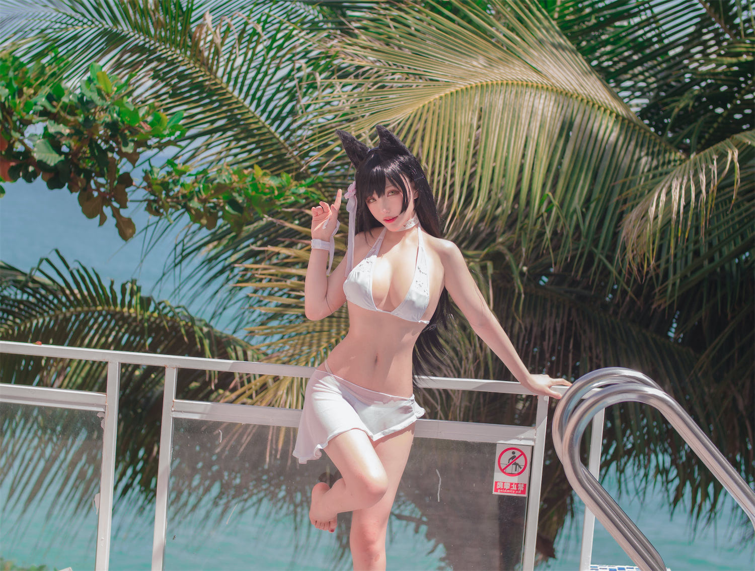 起司块wii海岛度假爱宕泳装42p