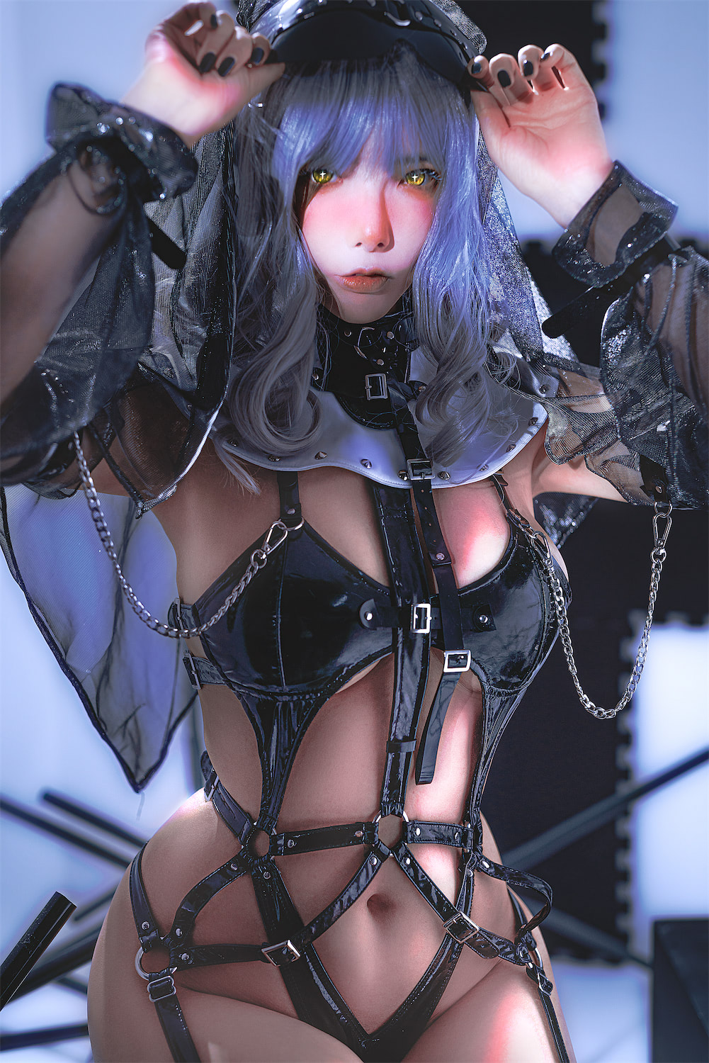 秋和柯基银发圣女25p